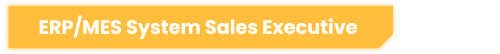 ERP System Sales Executive